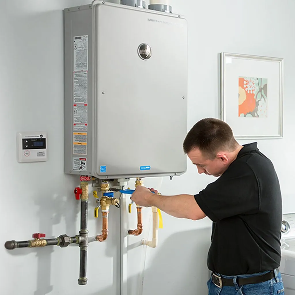 tankless water heater repair in Martin, GA